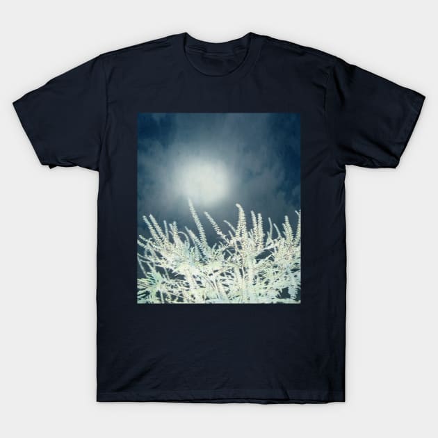 Silver Moon T-Shirt by Artskratch